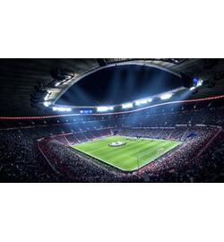 FIFA 19