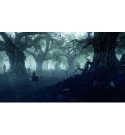 The Witcher 3: Wild Hunt