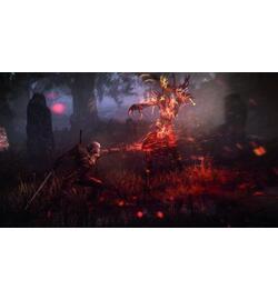 The Witcher 3: Wild Hunt