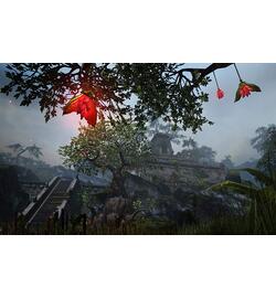 The Elder Scrolls Online: Tamriel Unlimited