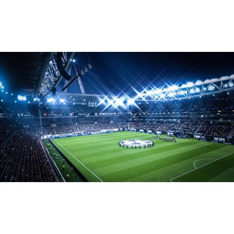 FIFA 19
