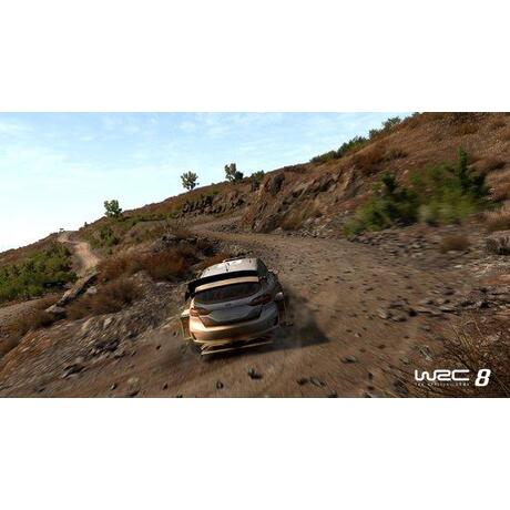 WRC: FIA World Rally Championship 8