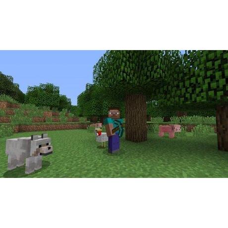 Minecraft
