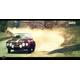 Dirt 3